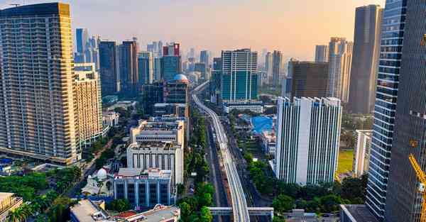 外国语单招大数据的行业文章