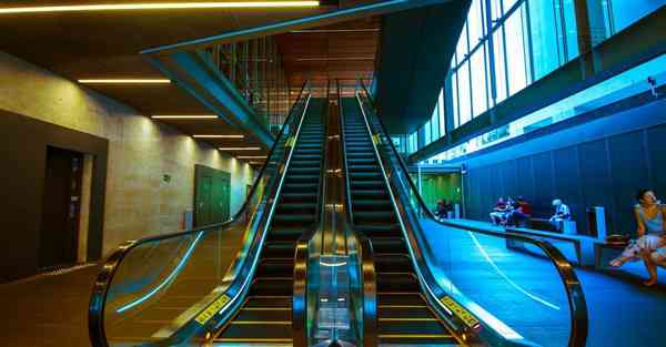 外国语单招大数据的行业文章