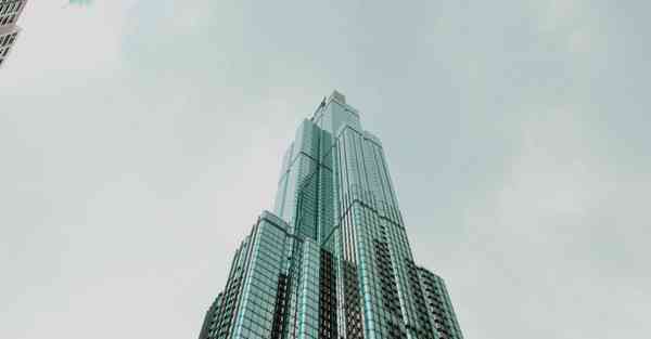 外国语单招大数据的行业文章