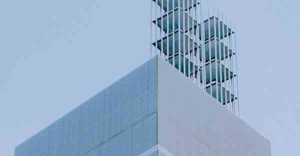 外国语单招大数据的行业文章