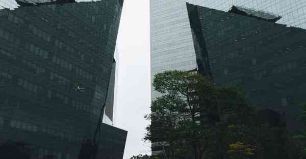 CHATGPT独立站建站