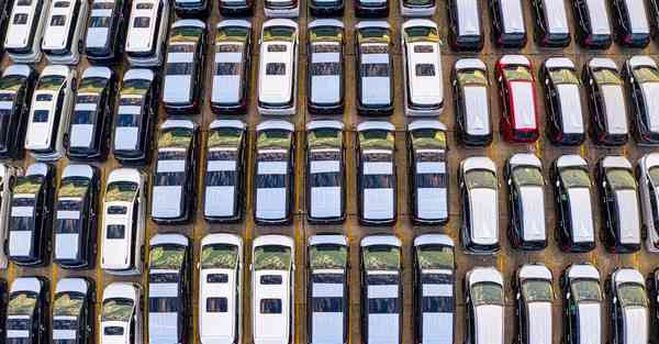 外国语单招大数据的行业文章