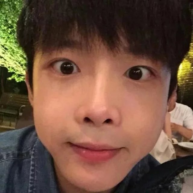 杨飘鹏绿