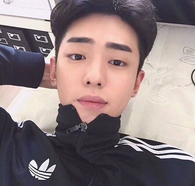 云乐梵骅