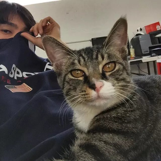 范可政蓝
