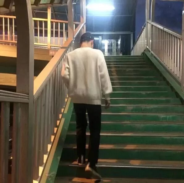 宗政烟力馥