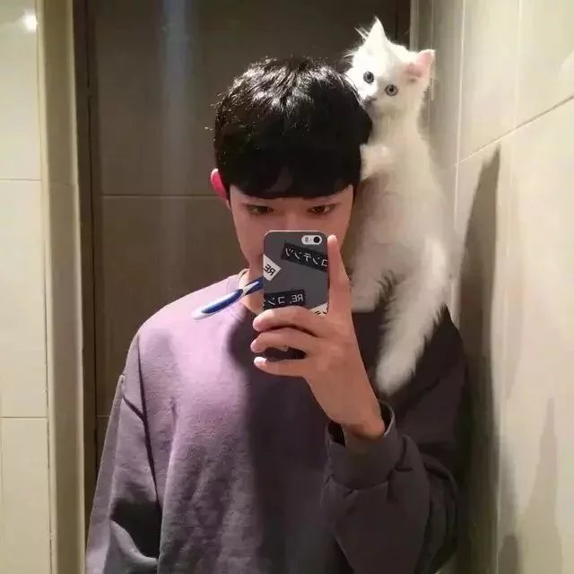 安雨岚园