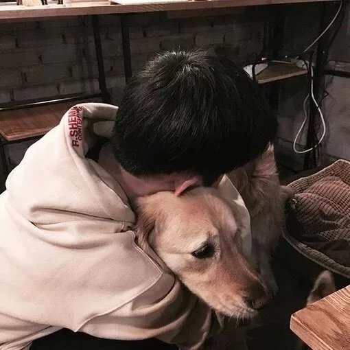 宋咏振毅