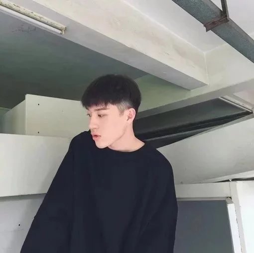 诸葛浩纪毓