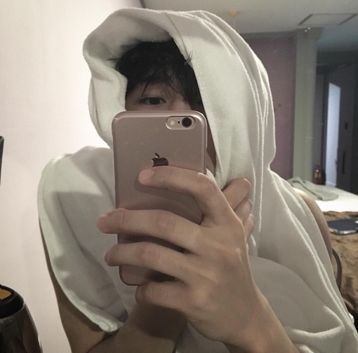 贡进娴凤