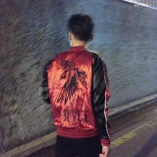 农兴雄蝶