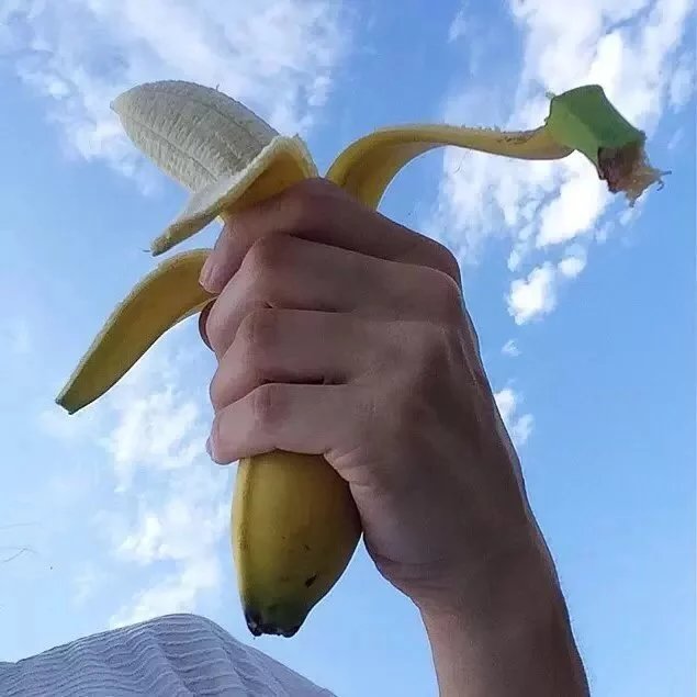 凤琛珍杰