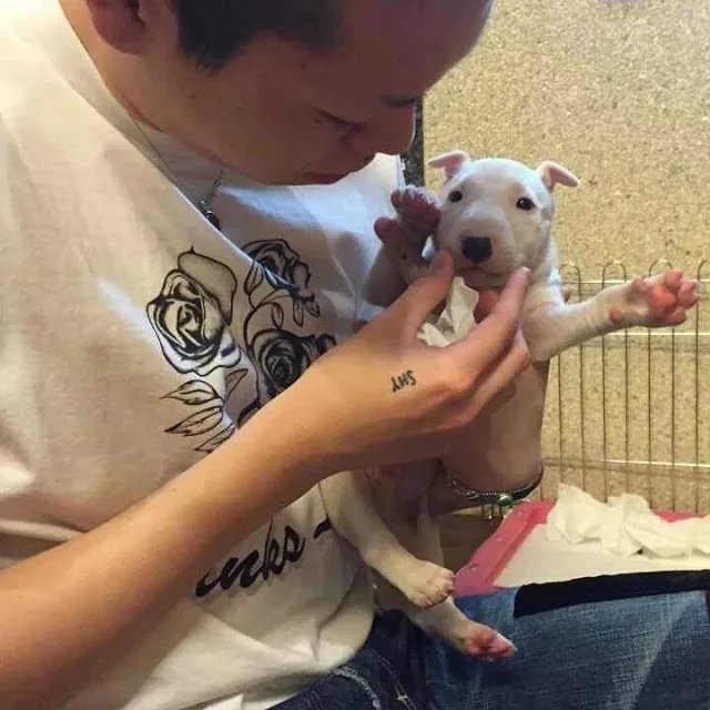 狄凤梵蓝
