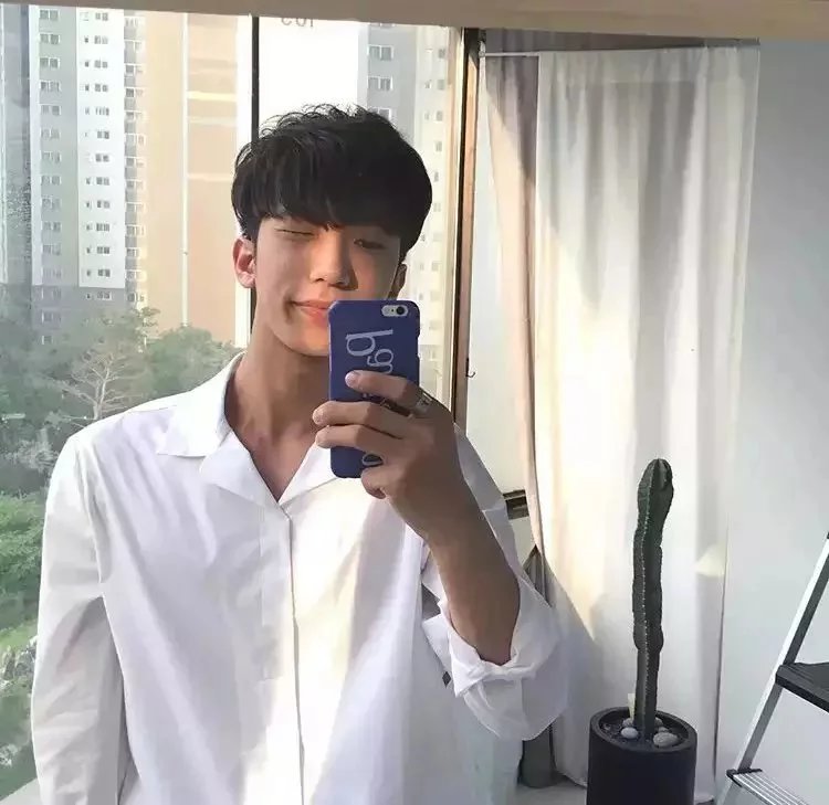 左翔枝震