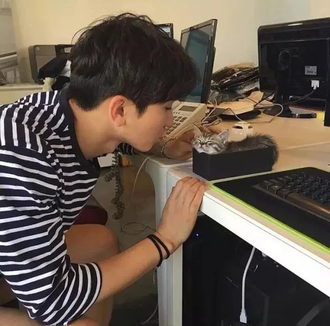 彭苑秋瑶